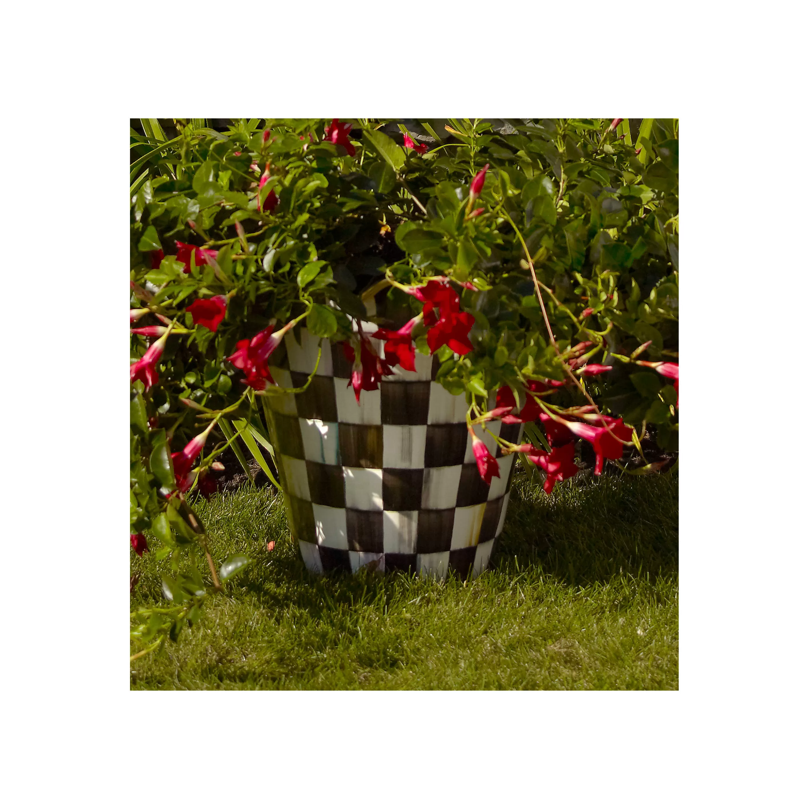 Pots & Planters>MacKenzie-Childs Courtly Check Jumbo Garden Pot